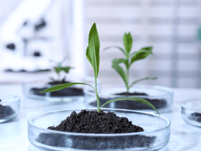 Environmental Science