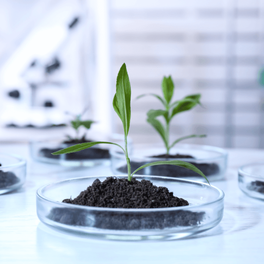 Environmental Science